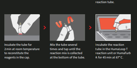 TB-LAMP workflow 